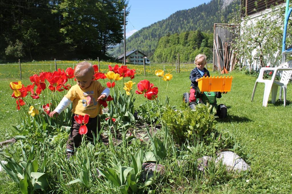 Ferienwohnungen Sutter Au (Vorarlberg) Exteriér fotografie