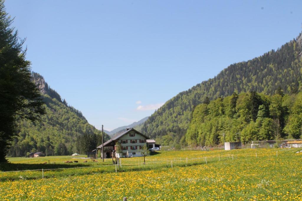 Ferienwohnungen Sutter Au (Vorarlberg) Exteriér fotografie